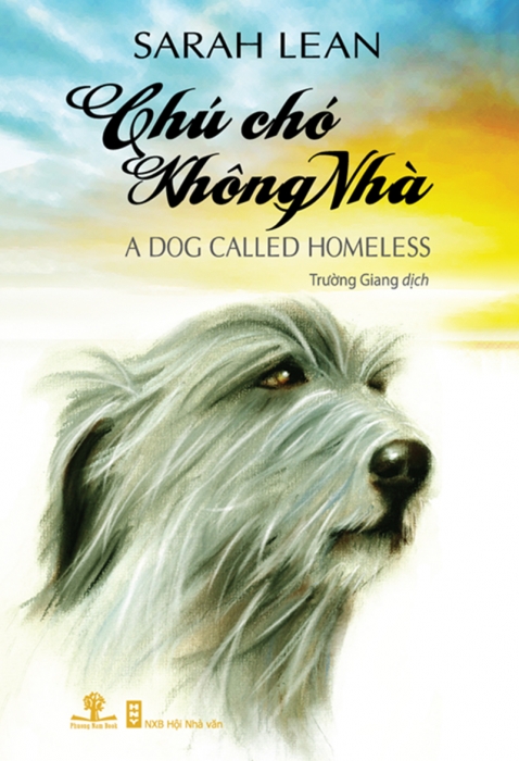 Chú chó không nhà