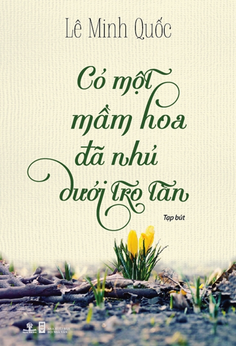 Có một mầm hoa đã nhủ dưới tro tàn