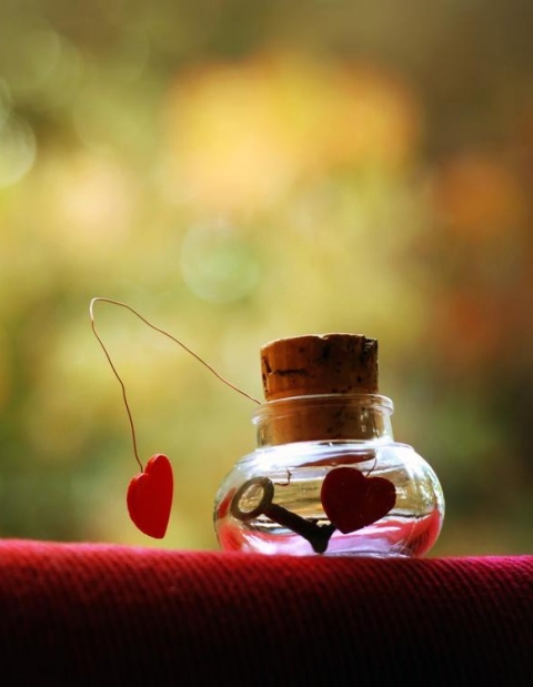 Thầy đã từng yêu em hay không?