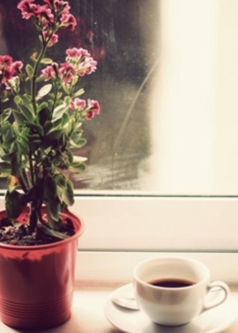 Cà phê, đắng hay ngọt?