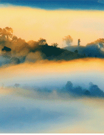 Muôn nẻo tình đời