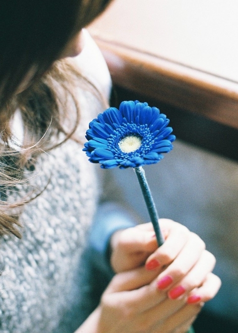 Dòng sông không trở lại