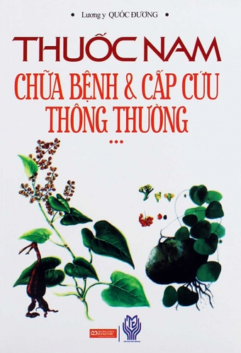 Thuoc nam chua benh va cap cuu thong thuong Thuoc nam chua benh va cap cuu thong thuong