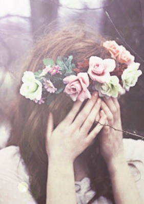 Hải đường không dành cho em