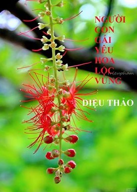 Người con gái yêu hoa lộc vừng