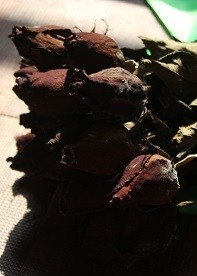 Kẻ đánh cắp thanh xuân.