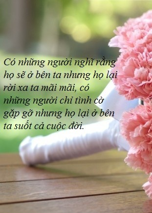 Ai cung can co mot tinh yeu Ai cung can co mot tinh yeu