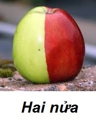 Hai nua Hai nua