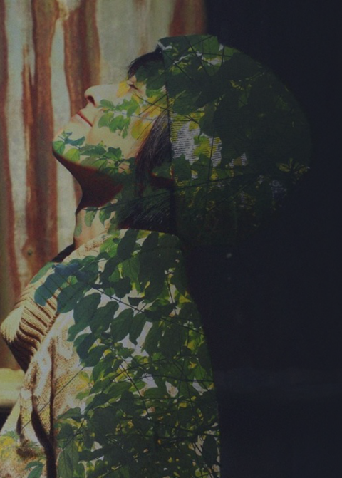 Bao nhiêu cô gái cho hết cuộc đời