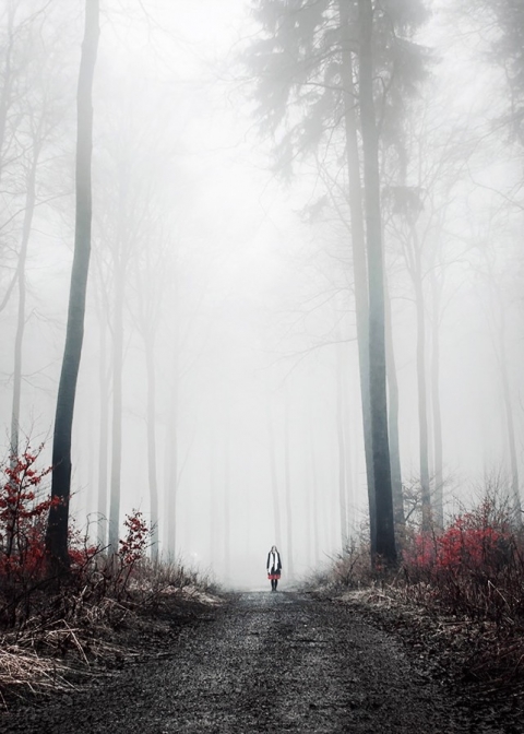 Lời yêu thương muộn màng