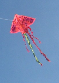 Giọt nắng bên thềm