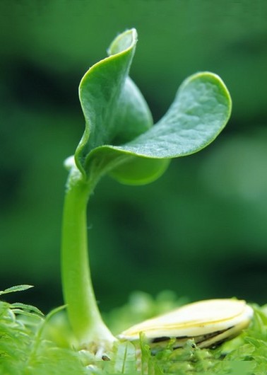 Lớn hơn mỗi ngày