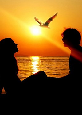 Tình một đêm và bịch cam sành miễn phí