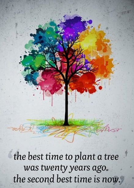 Những cơn mưa thoảng hương bạc hà