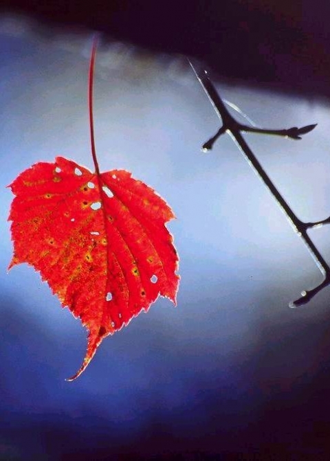 Thanh xuân không trở lại