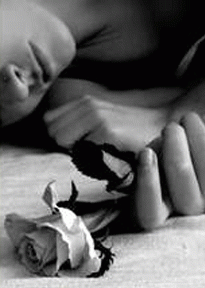 Hoa trắng bên đời