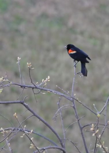 Đó chính là yêu...