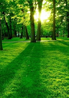 Tuổi thanh xuân của chúng ta