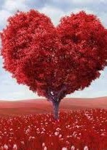 Tuổi thanh xuân trên những nụ hôn.