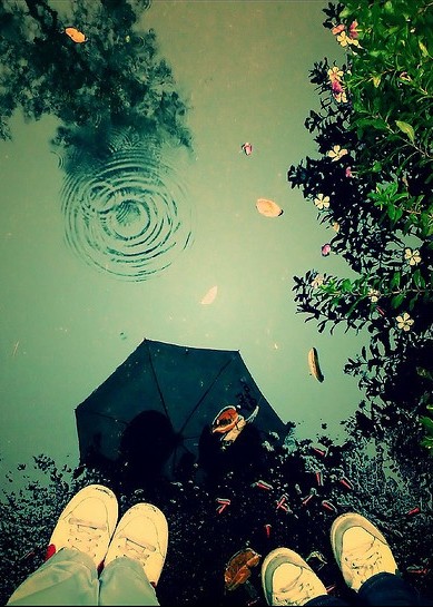 Tôi muốn là bí mật của cậu