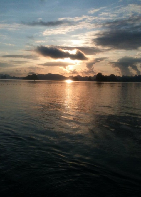 Gửi người tôi yêu