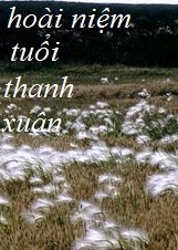 Hoài niệm tuổi thanh xuân