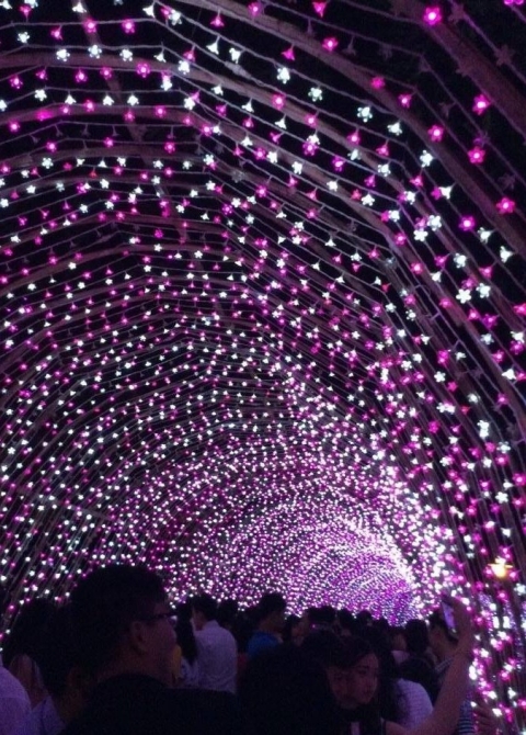 Đừng níu kéo giấc mơ