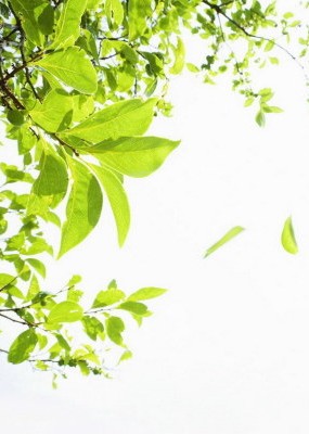 Nhìn, đọng và bước