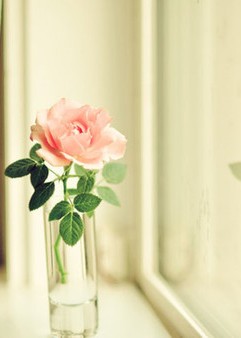 Nếu có thể kề cận cái chết