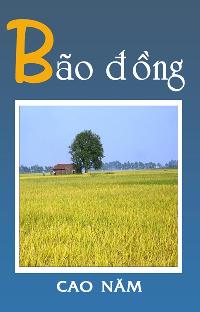 Bão đồng