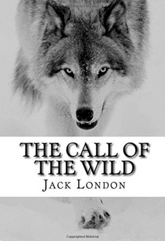 The call of the wild The call of the wild