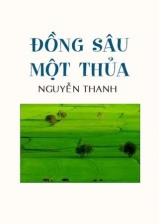 Dong sau mot thuo Dong sau mot thuo
