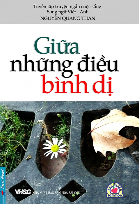 Giữa những điều bình dị
