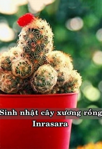 Sinh nhat cay xuong rong Sinh nhat cay xuong rong