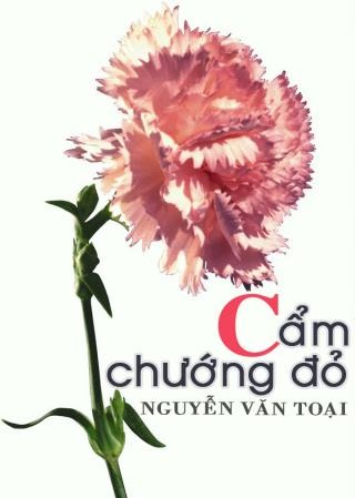 Cẩm chướng đỏ