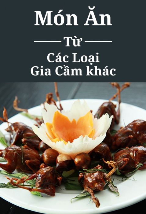 Món ăn từ các loại gia cầm khác