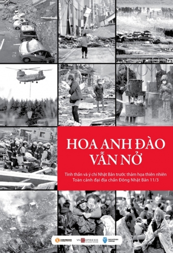 Hoa anh dao van no Hoa anh dao van no
