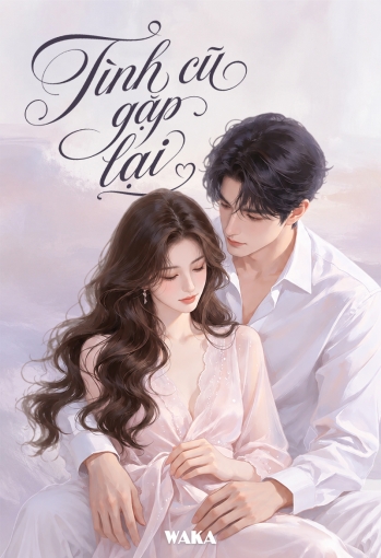 Tình cũ gặp lại