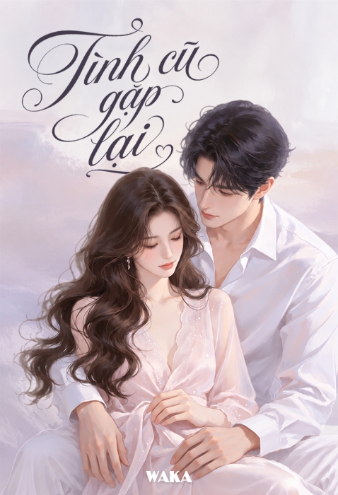 Tình cũ gặp lại