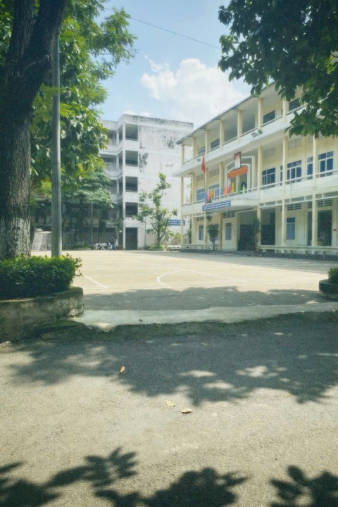 Nắng Và Cậu