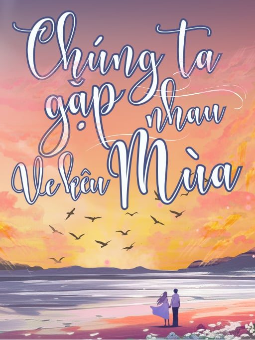 Chúng ta gặp nhau mùa ve kêu