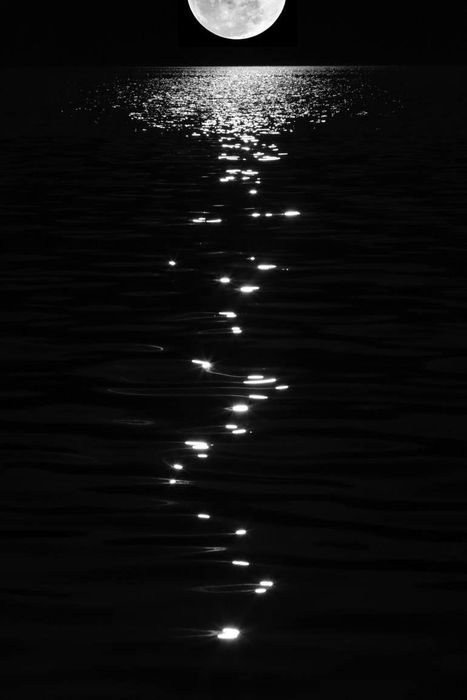 Ánh trăng dưới bóng tà