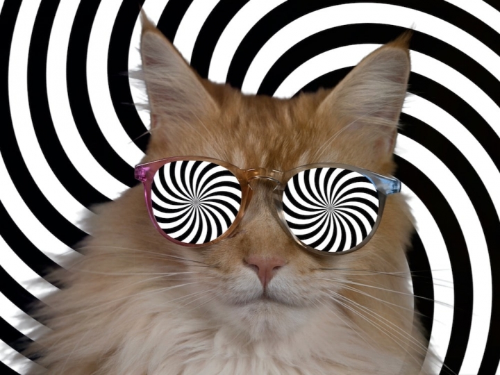 Siêu năng lực nhưng mà nó lạ lắm