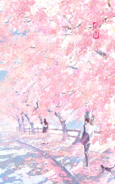 Đêm Cuối Là Thất Tịch