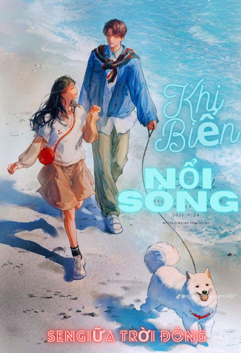 Khi biển nổi sóng