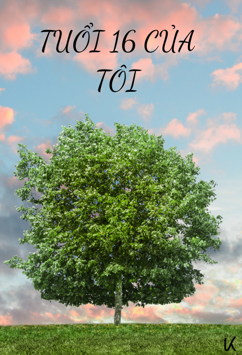 Tuổi 16 của tôi