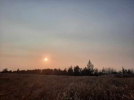 Mặt trời nhỏ của tôi