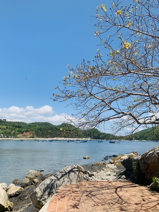 Hạnh phúc nơi cuối con đường.