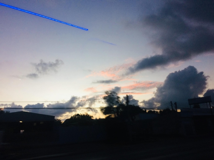 Lời khuyên từ rừng xanh