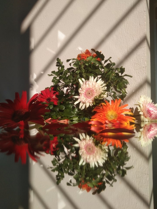 Nuôi một hệ thống